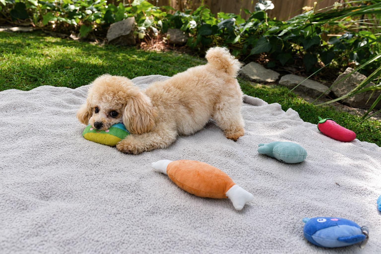 Adoptions — img-06