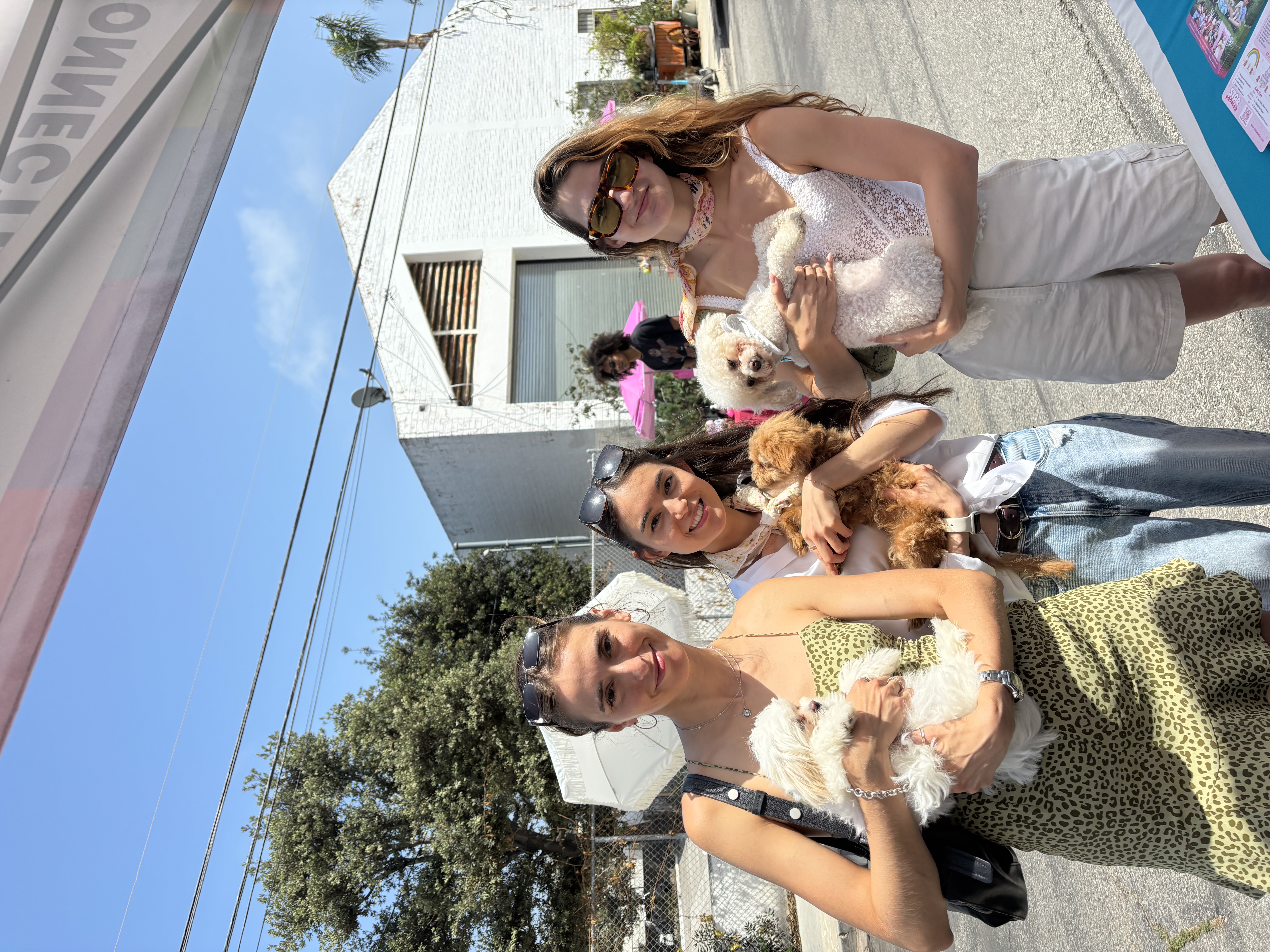 Guest holding a small poodle at a special occasion